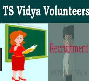 TS Vidya Volunteer Recruitment 2018